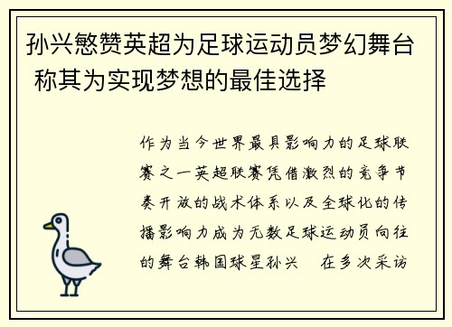 孙兴慜赞英超为足球运动员梦幻舞台 称其为实现梦想的最佳选择